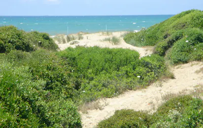 Camping Internazionale di Castelfusano