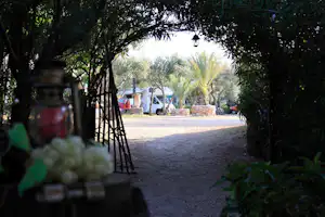 Camping Internazionale La Playa - Ein Wohnmobil, durch einen begrünten Gang fotografiert
