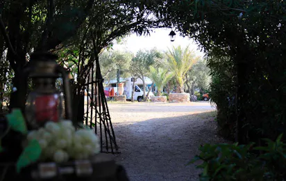 Camping Internazionale La Playa