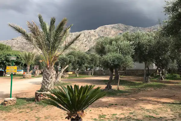 Camping Internazionale La Playa