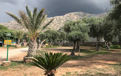 Camping Internazionale La Playa