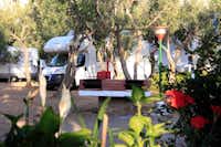 Camping Internazionale La Playa - Wohnmobil auf einem Stellplatz mit öffentlicher Grillstelle im Vordergrund