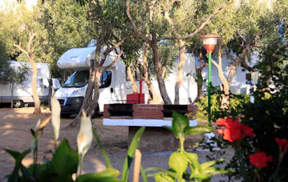 Camping Internazionale La Playa