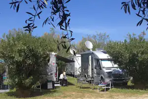 Camping Internazionale La Playa - Wohnmobile auf Stellplätzen hinter Büschen