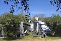 Camping Internazionale La Playa - Wohnmobile auf Stellplätzen hinter Büschen