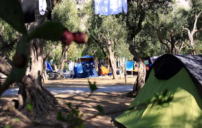 Camping Internazionale La Playa