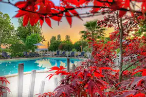 Camping Internazionale Lago di Bracciano - Poolbereich vom Campingplatz mit Liegestühlen und Sonnenschirmen
