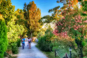 Camping Internazionale Lago di Bracciano - Weg zwischen den Bäumen auf dem Campingplatz