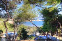 Camping Internazionale Manacore - Stellplätze unter Bäumen am Mittelmeer