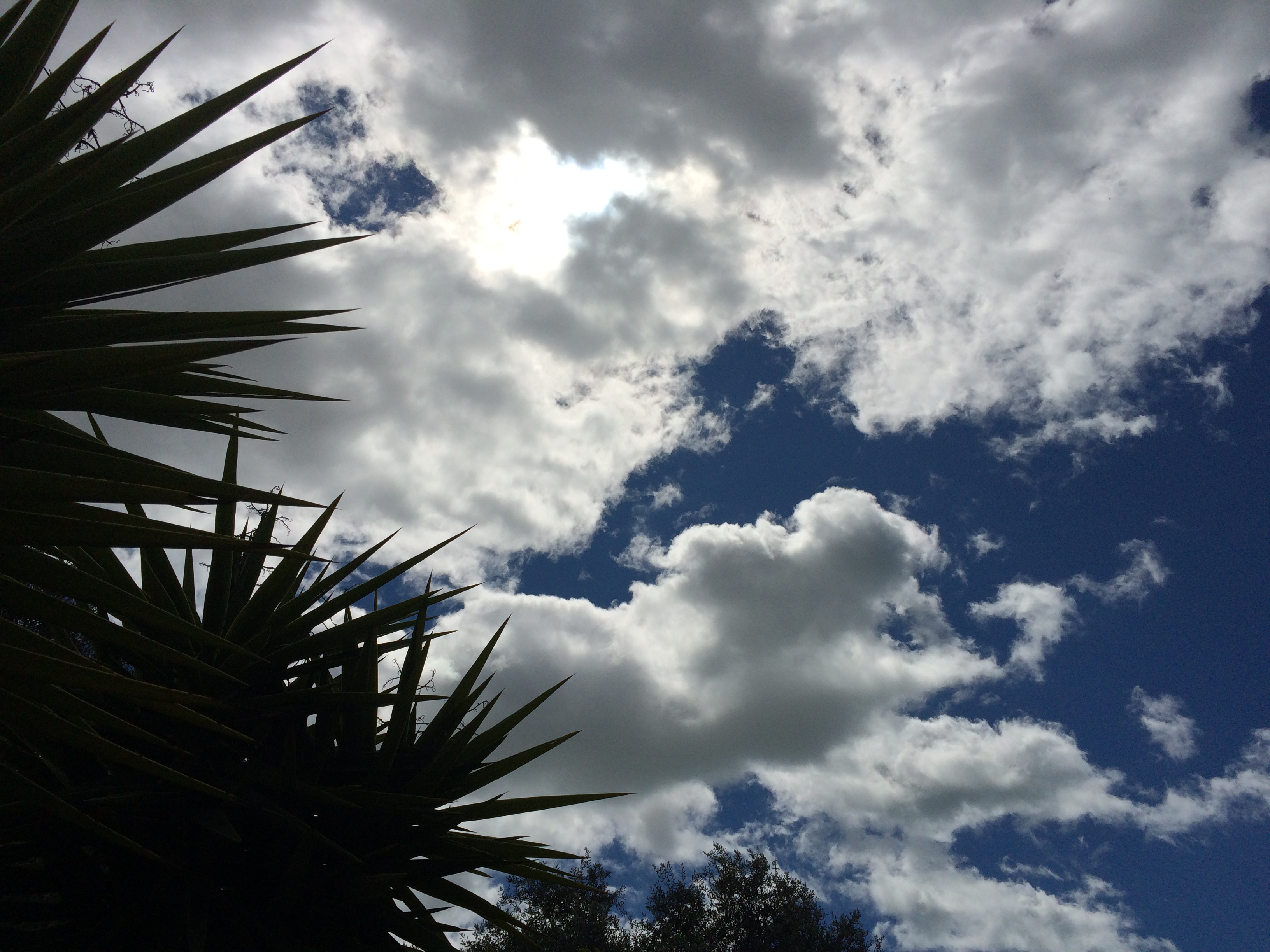 Camping Valle dei Templi