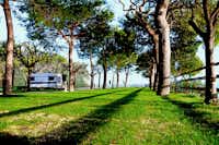 Camping Internazionale - Wohnwagen- und Zeltstellplatz zwischen Bäumen