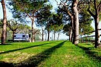 Camping Internazionale - Wohnwagen- und Zeltstellplatz zwischen Bäumen