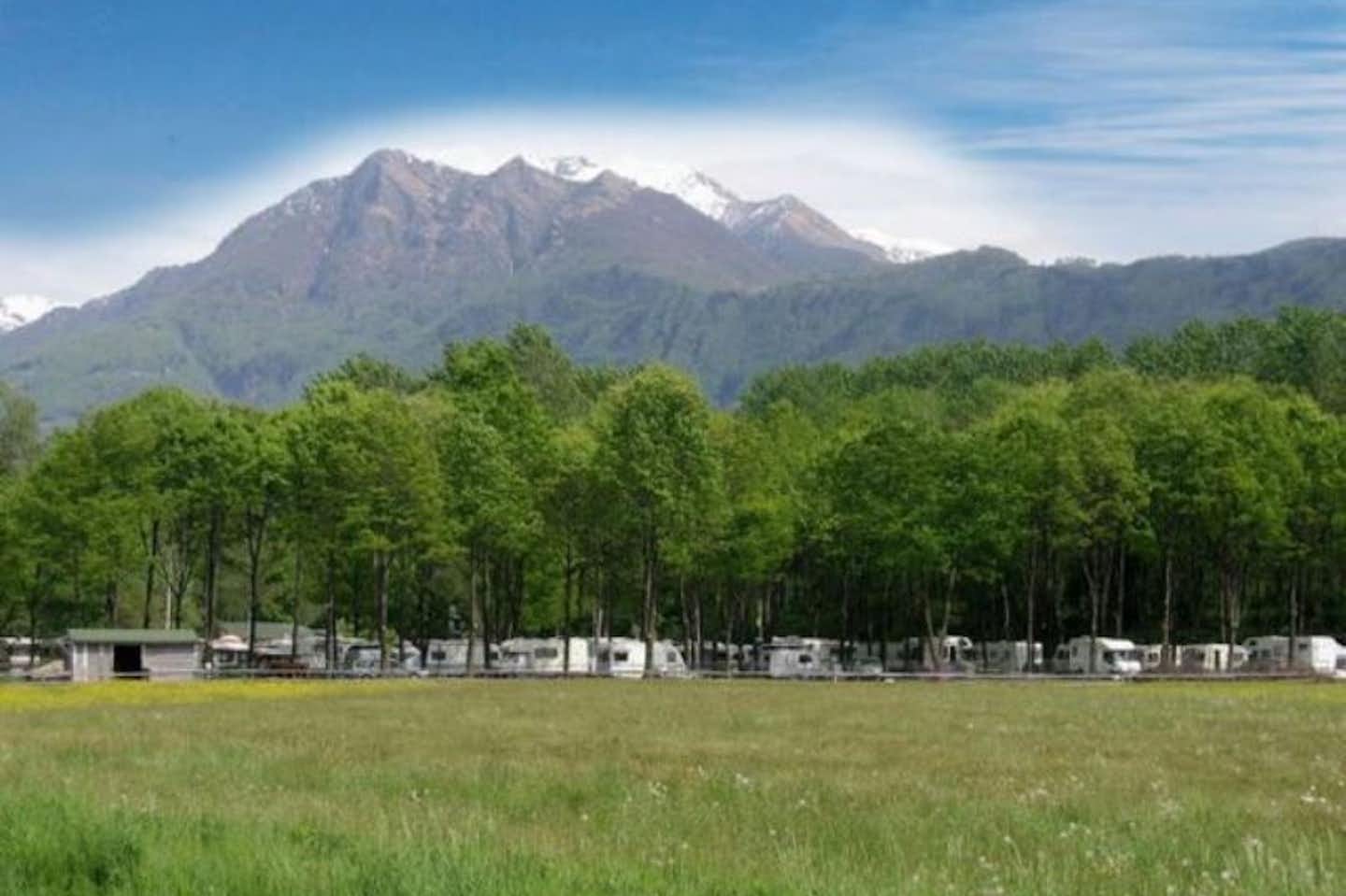 Camping Isola  -  Wohnwagen- und Zeltstellplatz unter Bäumen auf dem Campingplatz