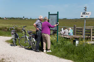 Camping It Wiid - Fahrrad Fahrer auf dem Campingplatz Gelände