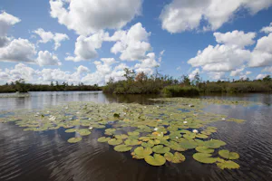 Camping It Wiid - See in der Nähe des Campingplatzes