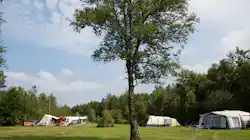 Ardoer Camping It Wiid
