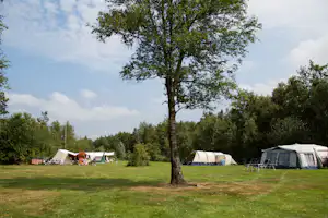 Zeltwiese auf dem Campingplatz mit großen Bäumen, mehreren Zelten und Campingstühlen im Hintergrund.