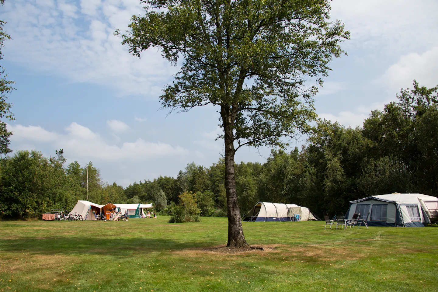 Ardoer Camping It Wiid