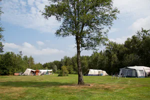 Camping It Wiid - Wohnwagenstellplätze im Grünen auf dem Campingplatz