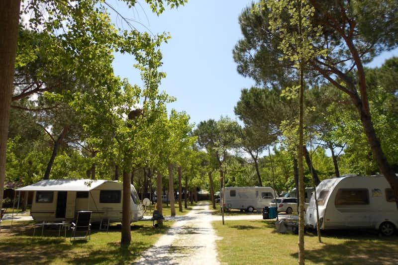Camping Italia  -  Stellplatz vom Campingplatz zwischen Bäumen