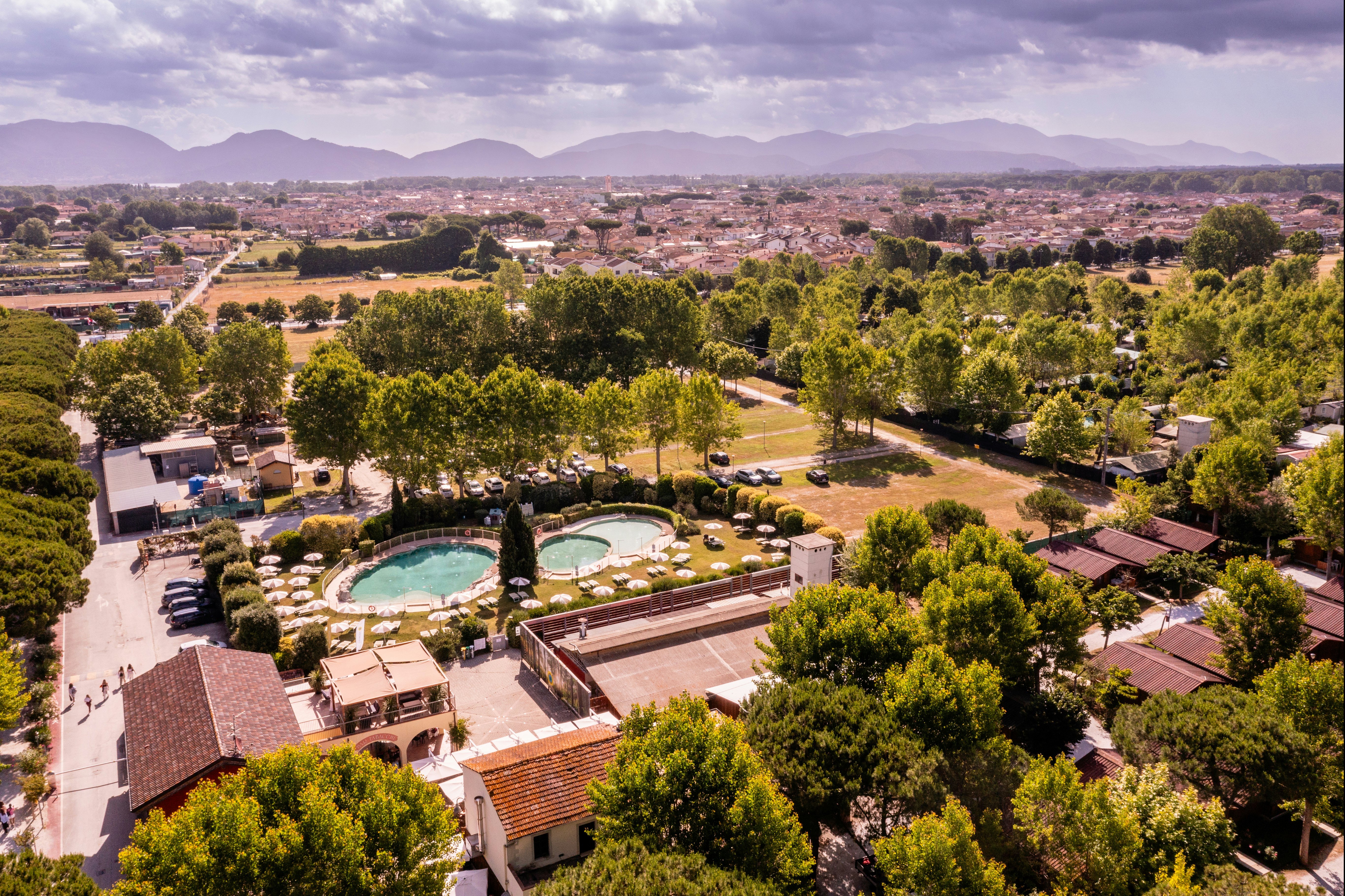 Viareggio Family Collection