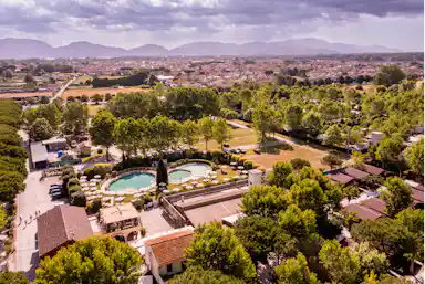 Viareggio Family Collection