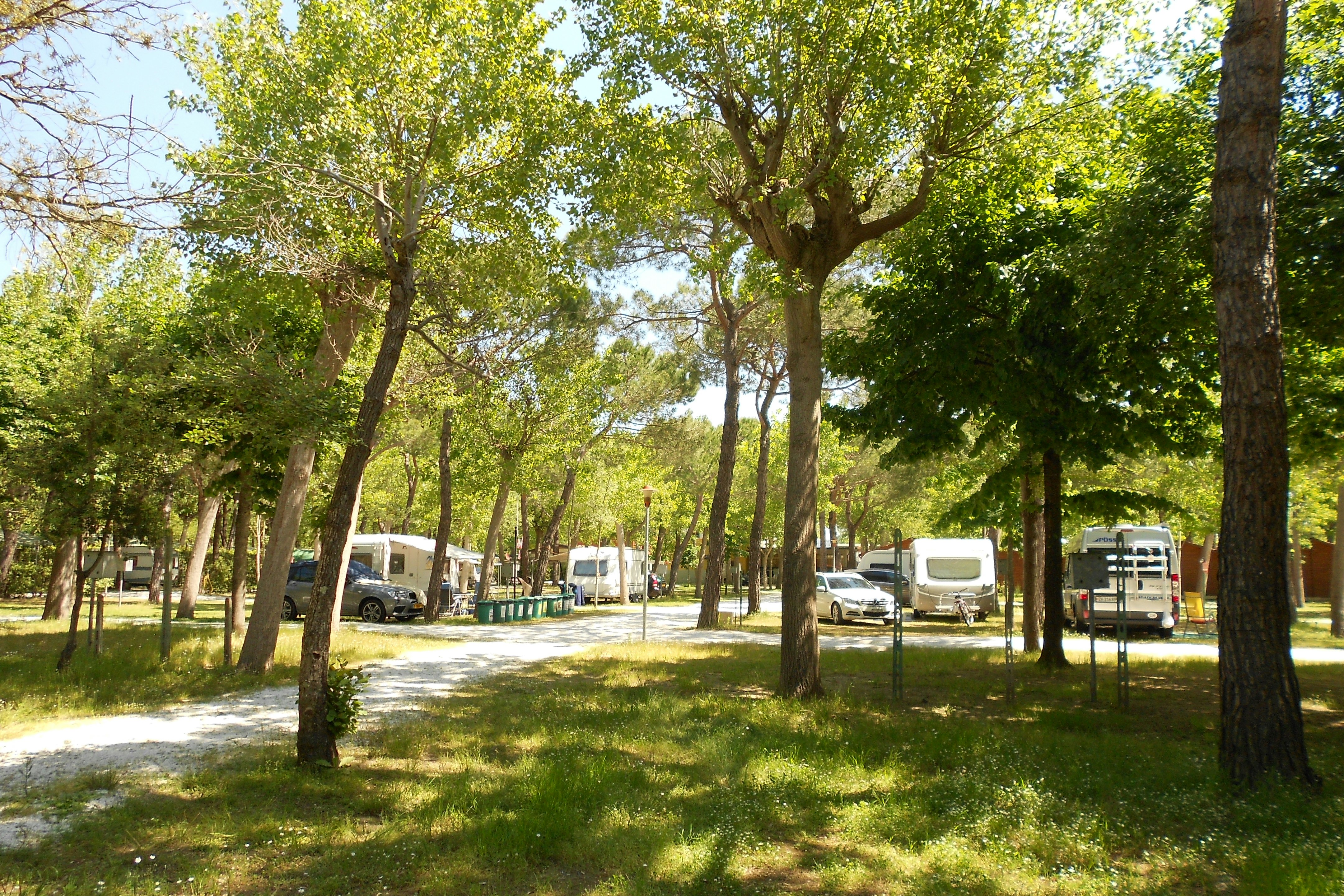Viareggio Family Collection - Standplätze im Grünen auf dem Campingplatz