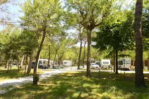 Viareggio Family Collection - Standplätze im Grünen auf dem Campingplatz