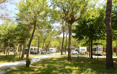 Viareggio Family Collection