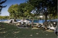 Camping Italia Lido  -  Wohnwagen- und Zeltstellplatz unter Bäumen auf dem Campingplatz