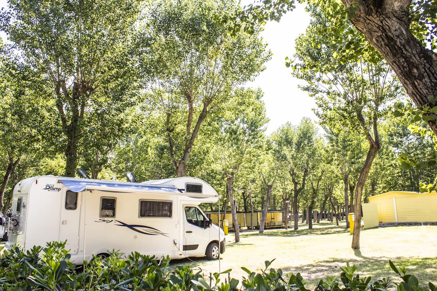 International Italia Camping Village  Camping Italia - Wohnmobil- und  Wohnwagenstellplätze