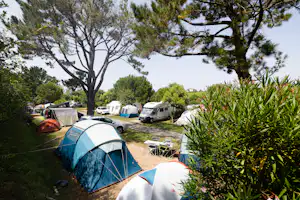 Camping Itsas-Mendi - Standplätze auf dem Campingplatz