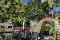 Camping Itxaspe  -  Wohnwagen- und Zeltstellplatz vom Campingplatz im Grünen