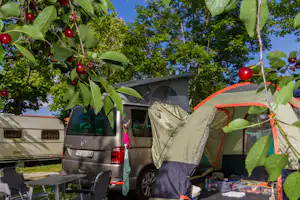 Camping Itxaspe - Wohnwagen- und Zeltstellplatz vom Campingplatz im Grünen