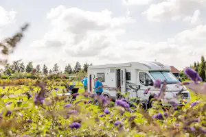 Natuurlijk de Veenhoop - Standplätze auf dem Campingplatz