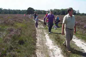 Camping Jacobus Hoeve - Gäste beim Spazieren in der Umgebung des Campingplatzes