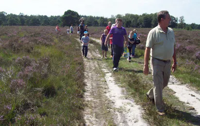 Camping Jacobus Hoeve