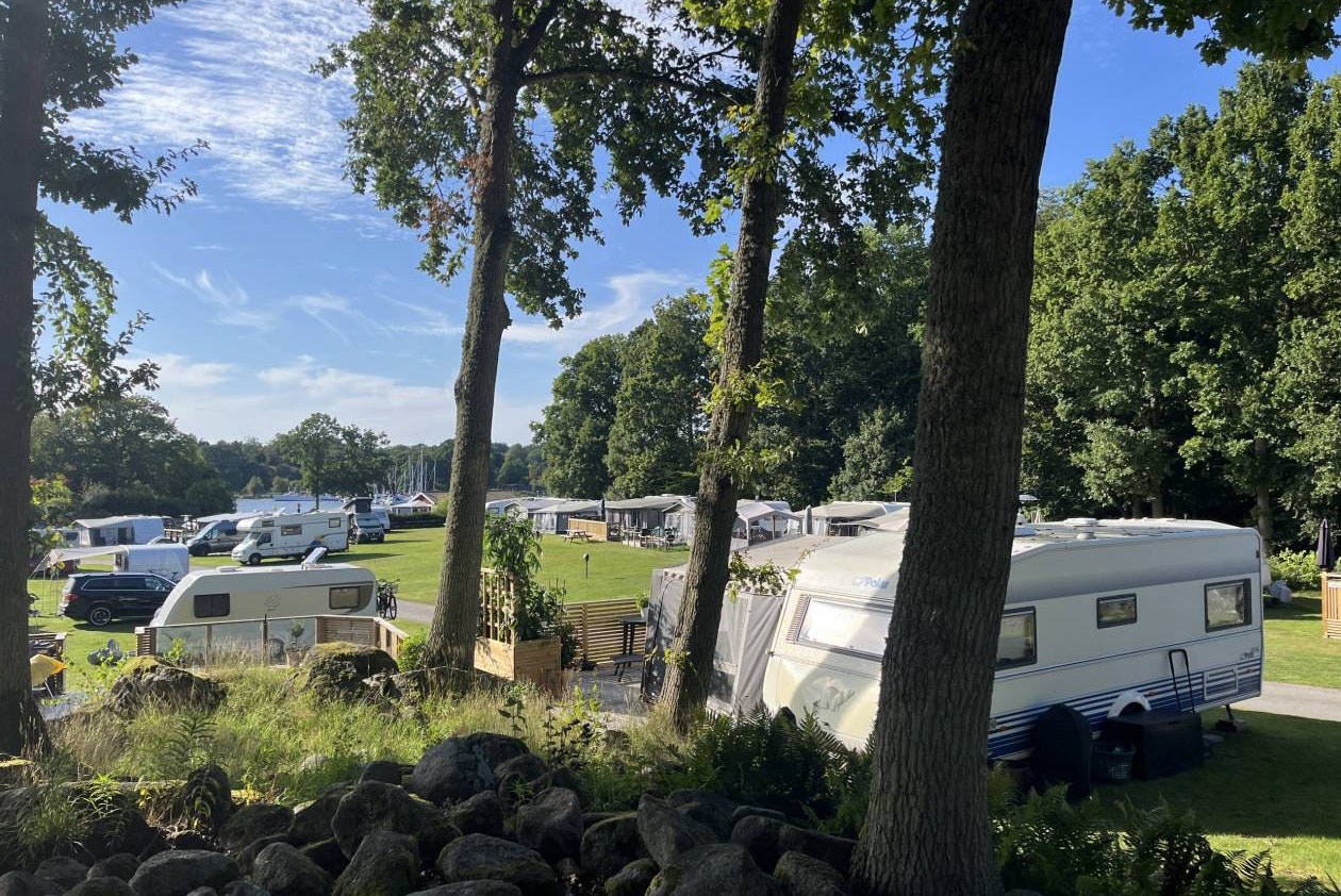Järnaviks Camping  Camping Järnaviks - Standplätze zwischen den Bäumen auf dem Campingplatz