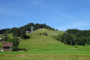 Alpenwiese mit sanftem Hang, Wald und einzelnen Häusern im Hintergrund, dazu eine Seilbahntrasse über dem Berg.