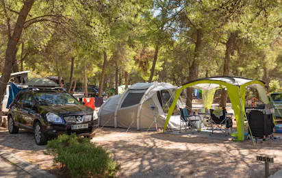 Camp Jasenovo