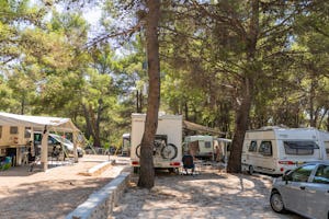 Maris Oasis Camping - Standplätze zwischen den Bäumen auf dem Campingplatz