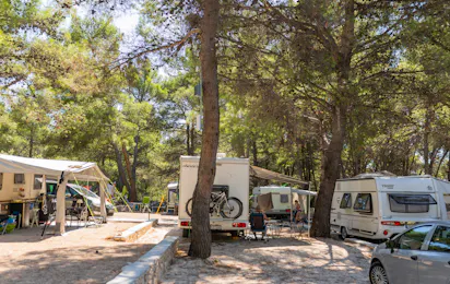 Camp Jasenovo