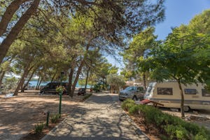 Maris Oasis Camping - Standplätze zwischen den Bäumen auf dem Campingplatz