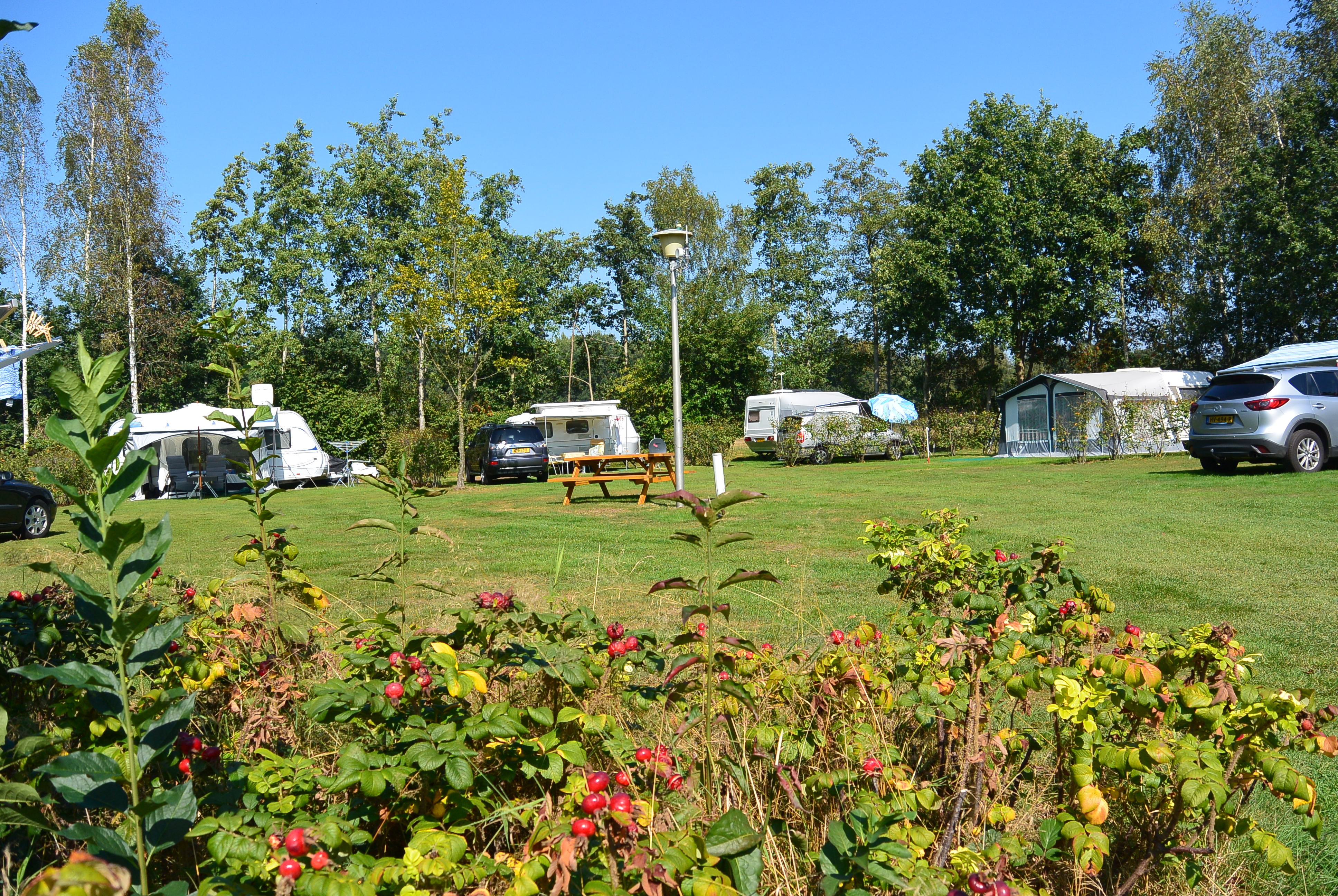 Camping Jelly's Hoeve