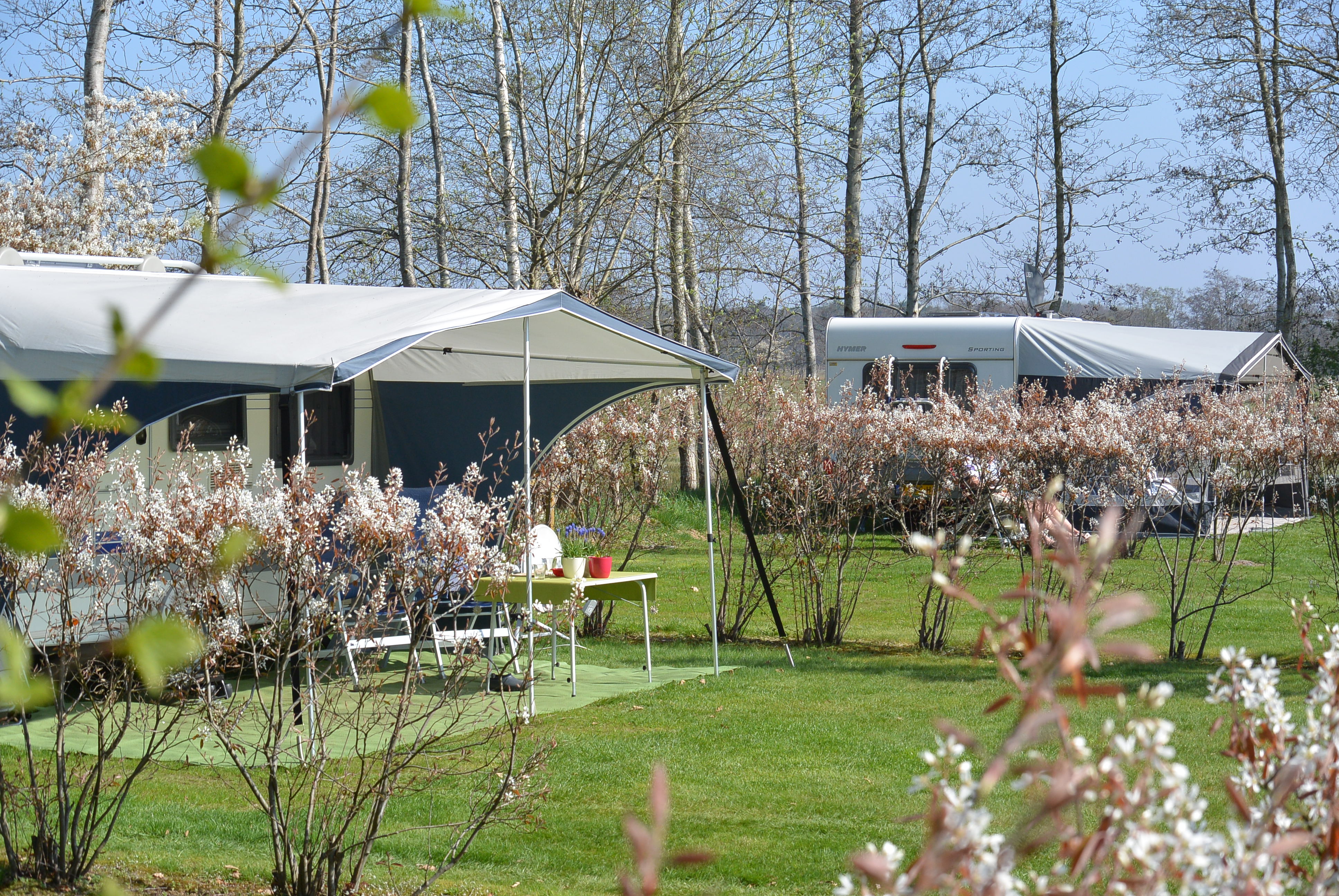 Camping Jelly's Hoeve (Adults Only)