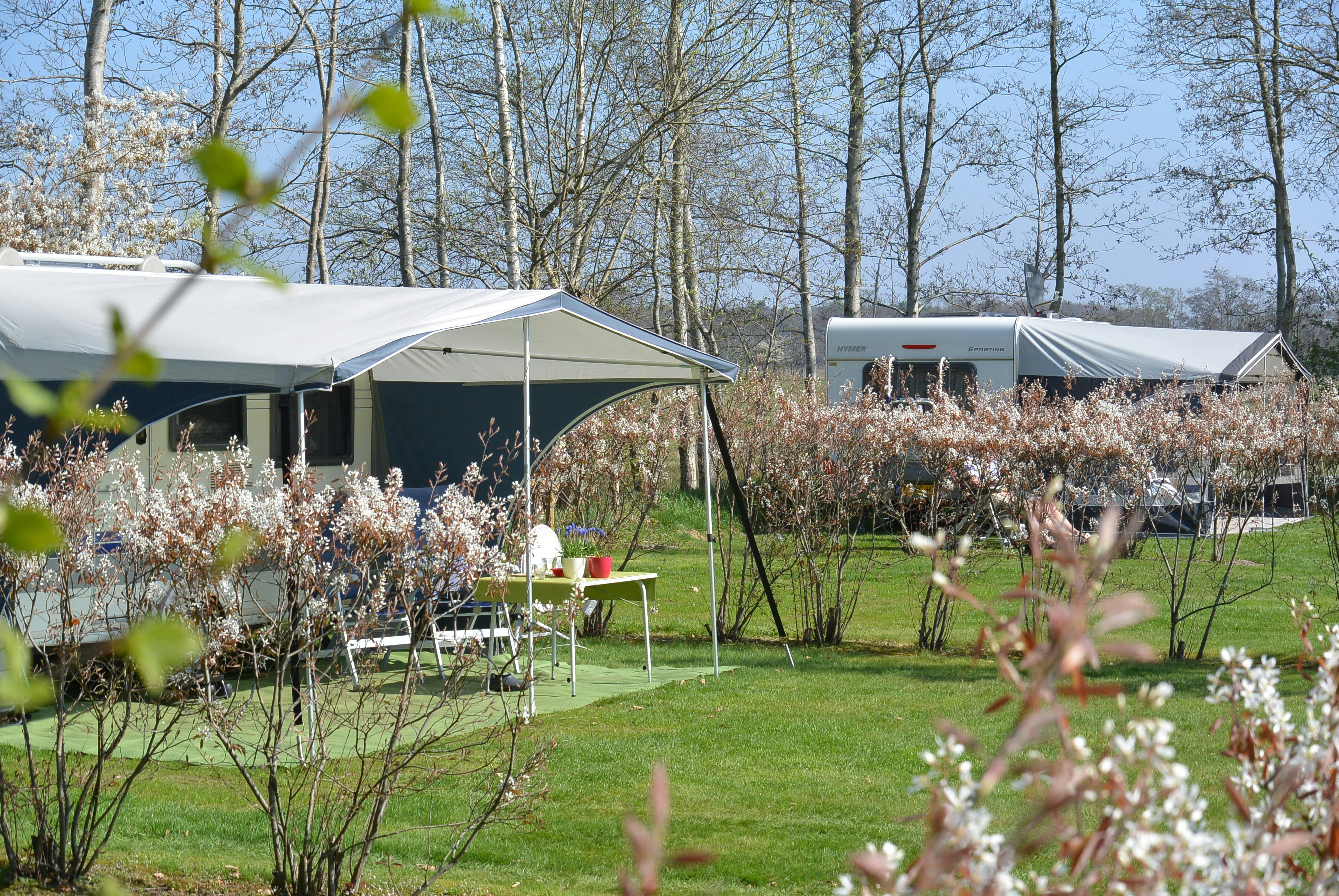 Camping Jelly's Hoeve