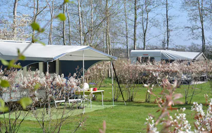 Camping Jelly's Hoeve