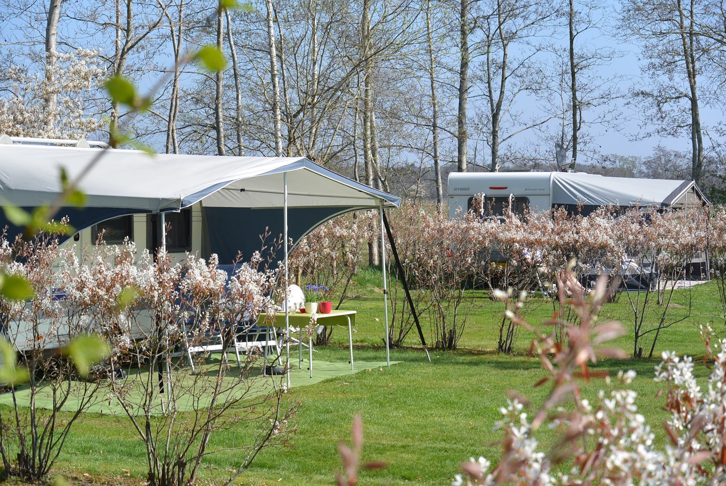 Camping Jelly's Hoeve