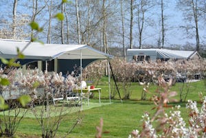 Camping Jelly's Hoeve