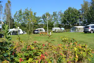 Camping Jelly's Hoeve